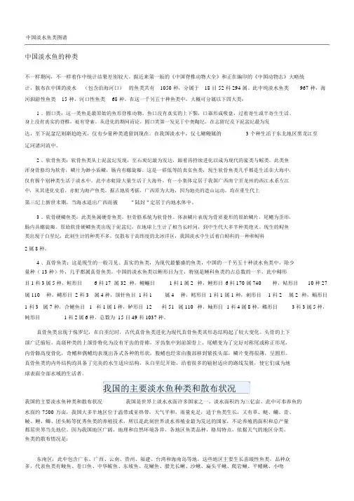 中国淡水鱼类图谱