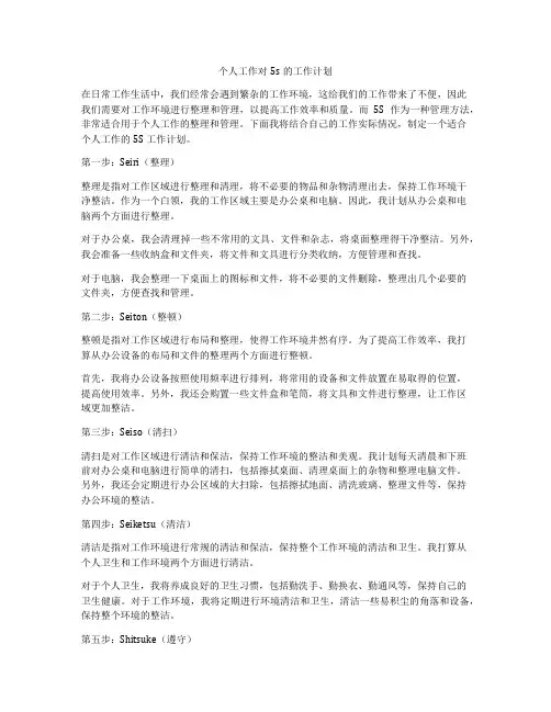 个人工作对5s的工作计划