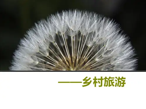 乡村旅游PPT课件