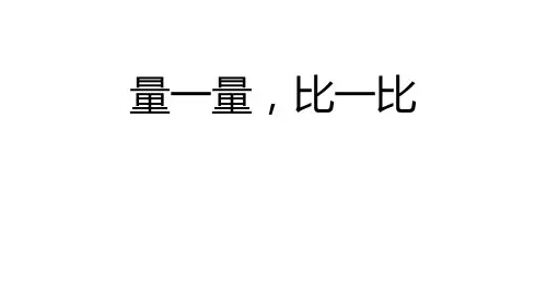 人教版数学二年级上册 量一量 比一比 课件(共20张PPT)