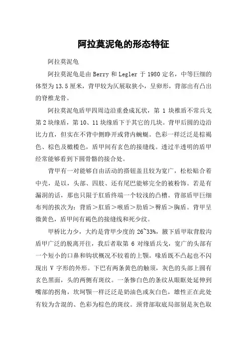 阿拉莫泥龟的形态特征