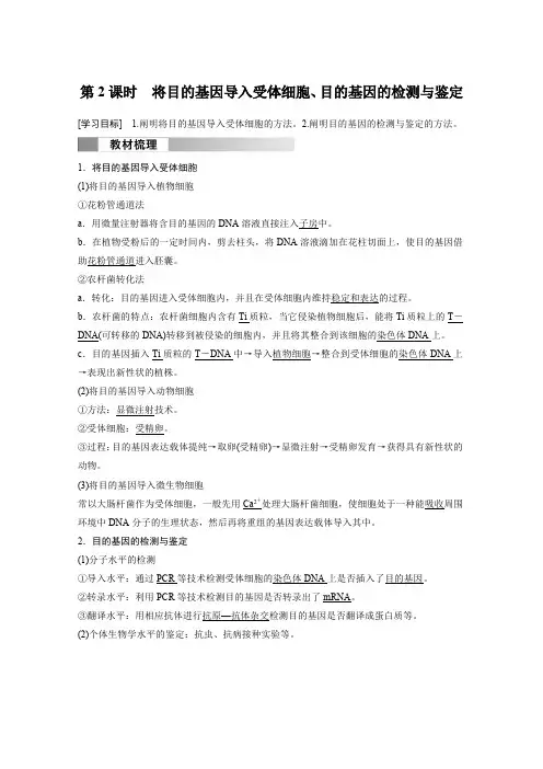 高中生物(选择性必修第三册 人教版)教案讲义：将目的基因导入受体细胞、目的基因的检测与鉴定含答案
