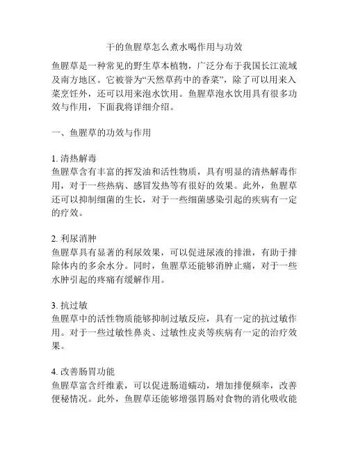 干的鱼腥草怎么煮水喝作用与功效