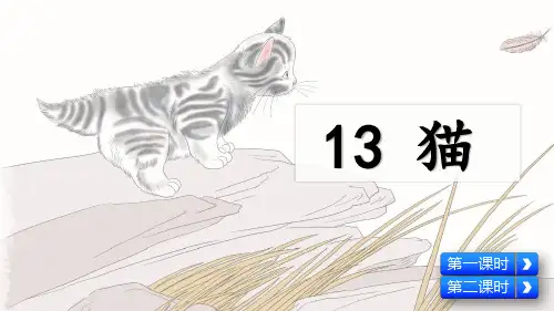 部编版四年级语文下册第13课《猫》精品课件
