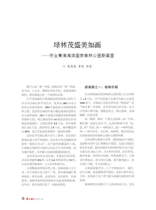 绿林茂盛美如画——东台黄海海滨国家森林公园新画面