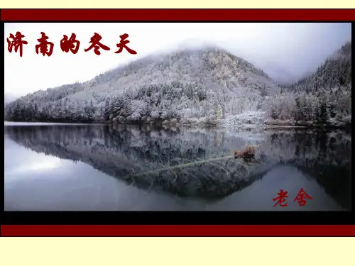 济南的冬天 (1)