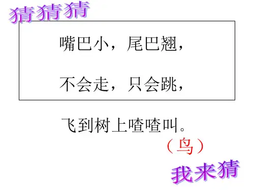 29.《父亲和鸟》PPT课件