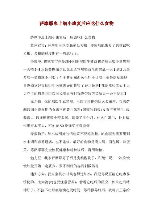 萨摩耶患上细小康复后应吃什么食物
