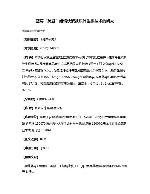 蓝莓“美登”组培快繁及瓶外生根技术的研究