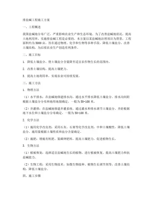 排盐碱工程施工方案
