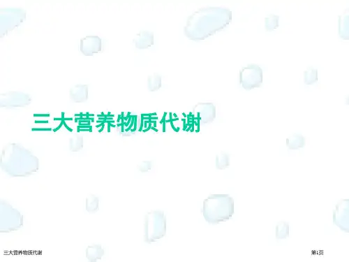 三大营养物质代谢