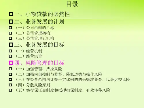 小额贷款贷款公司及运作方式分析