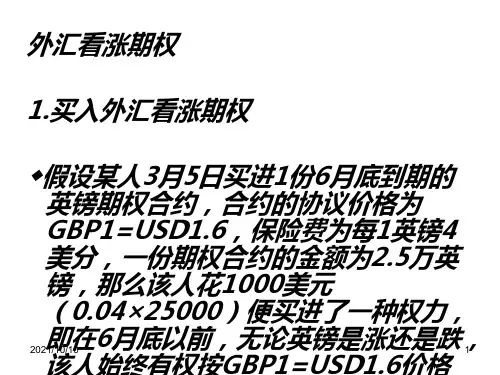 外汇期权案例