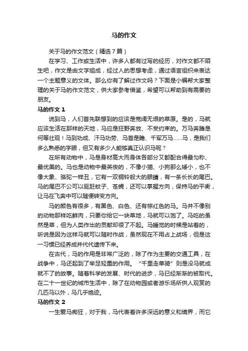 关于马的作文范文（精选7篇）