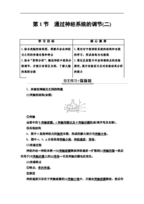 2019-2020学年人教版生物必修三讲义：第2章 第1节 通过神经系统的调节(二) Word版含答案