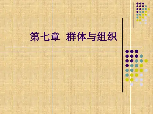 【精品】07社会学概论课件(自考)第七章群体和组织