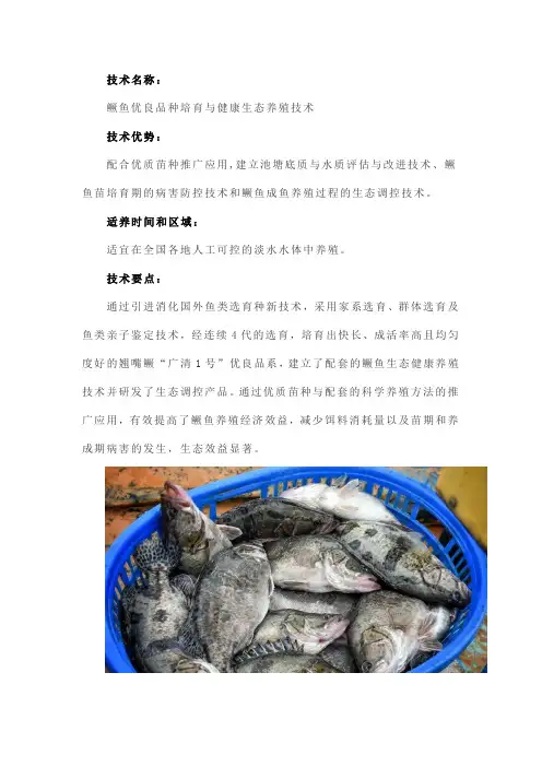 鳜鱼优良品种培育与健康生态养殖技术
