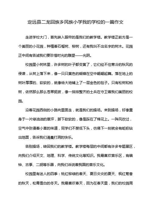 定远县二龙回族乡民族小学我的学校的一篇作文