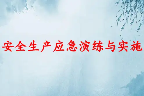 安全生产应急演练组织与实施ppt