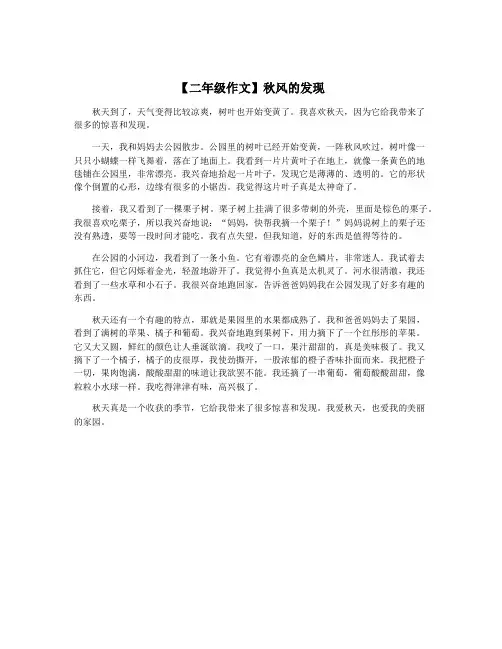 【二年级作文】秋风的发现