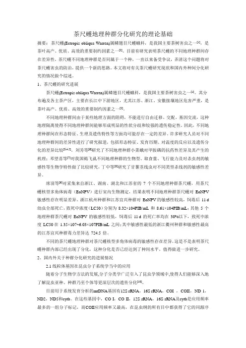 综述