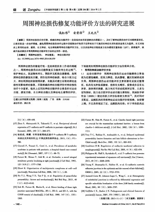 周围神经损伤修复功能评价方法的研究进展