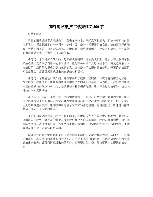 期待的眼神_初二优秀作文800字