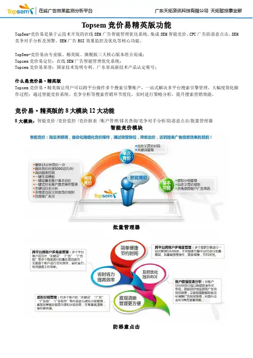 智能竞价工具Topsem竞价易精英版