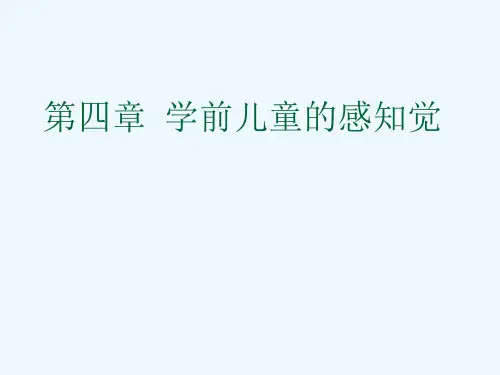 学前儿童的感知觉