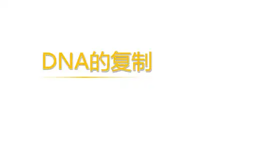 高一下学期生物人教版必修二 3.3 DNA的复制课件(28张PPT)