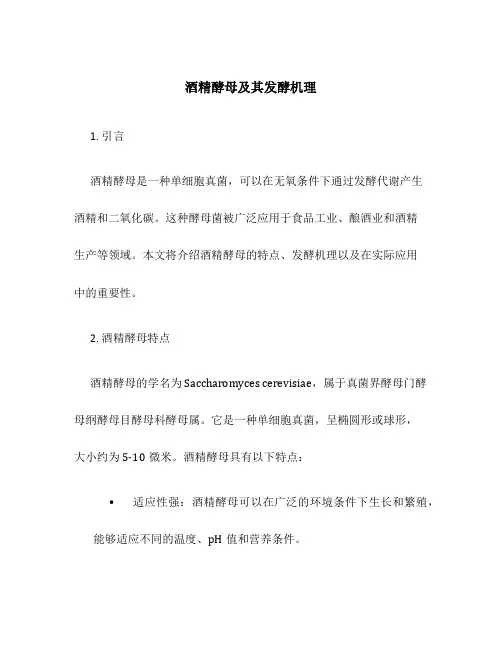 酒精酵母及其发酵机理