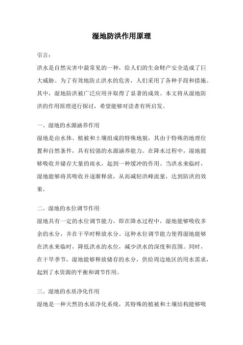 湿地防洪作用原理