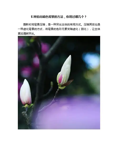 5种拍出暗色背景的方法，你用过哪几个？