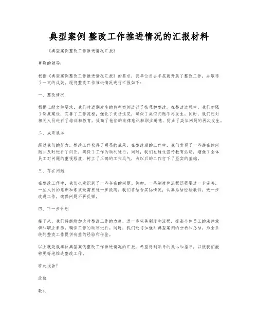 典型案例 整改工作推进情况的汇报材料