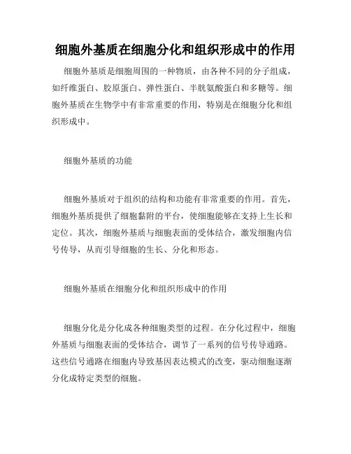 细胞外基质在细胞分化和组织形成中的作用