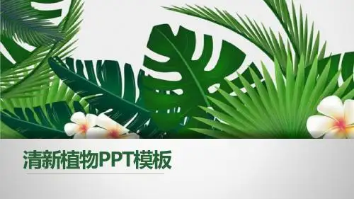 清新绿色植物工作总结教育教学述职报告主题PPT模板