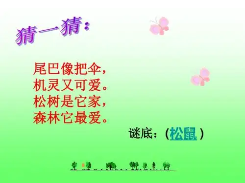 10松鼠与松果课件