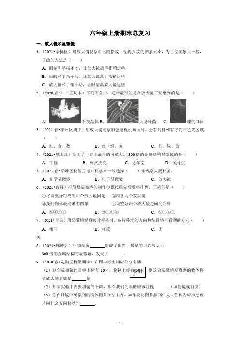 新教科版小学六年级上册科学期末总复习  (试题)
