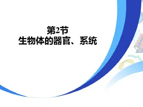 北师大版七年级生物上册ppt课件：生物体的器官、系统