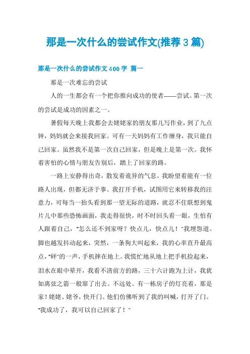 那是一次什么的尝试作文(推荐3篇)