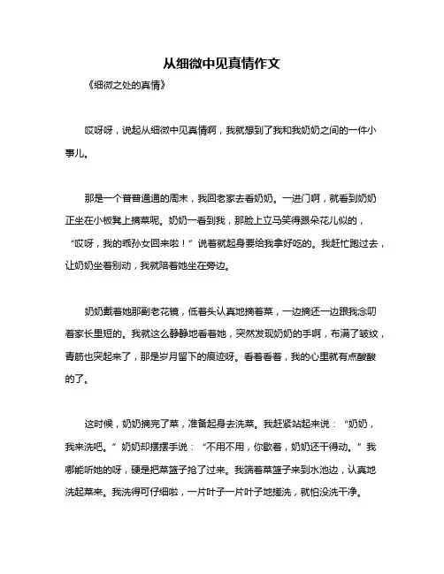 从细微中见真情作文