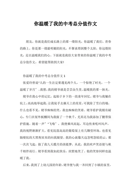 (中考作文)你温暖了我的中考满分作文