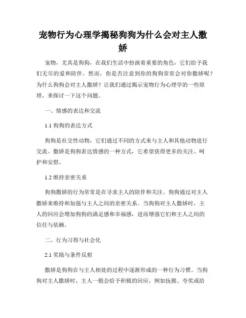 宠物行为心理学揭秘狗狗为什么会对主人撒娇