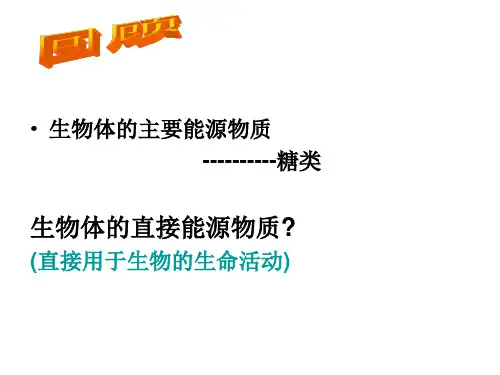细胞的能量“通货”——ATP