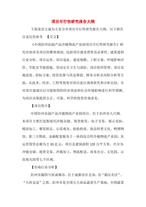 2020年项目可行性研究报告大纲