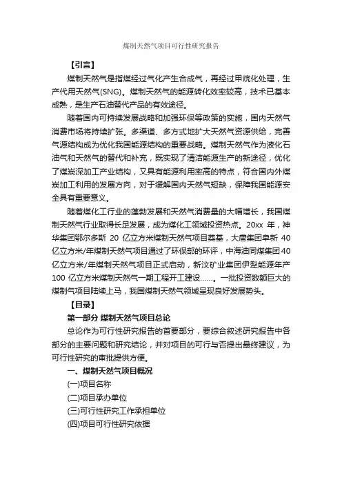 煤制天然气项目可行性研究报告_可行性报告_