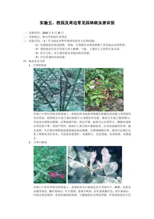 校园及周边植物病虫害观察解析