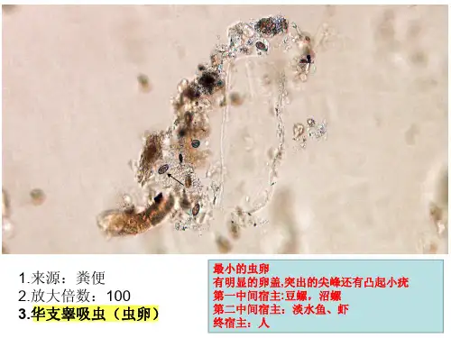 医学检验形态学质控