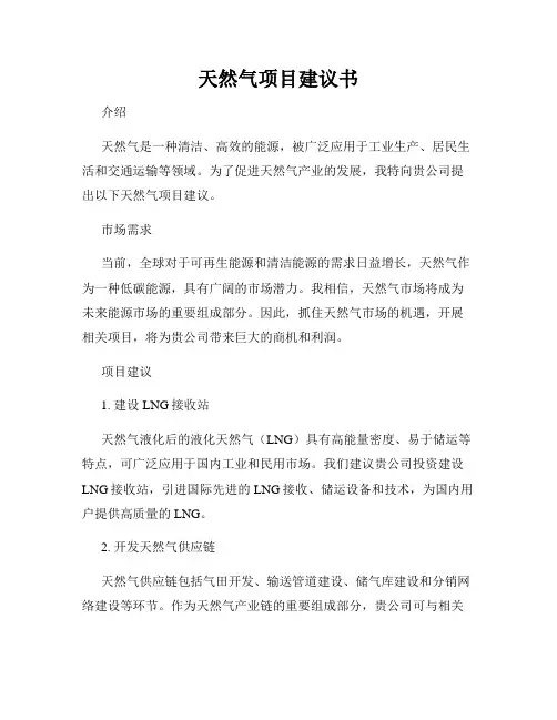 天然气项目建议书