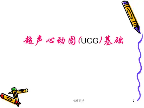 心脏超声诊断(清晰详实)
